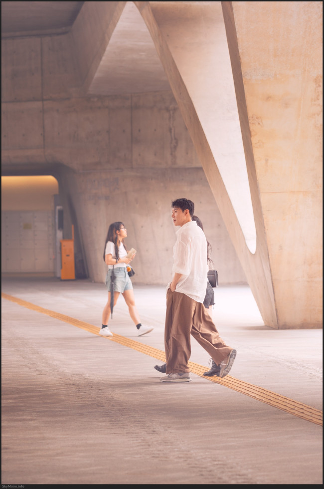 길 없는 길 (A pathless road) Photo-Image