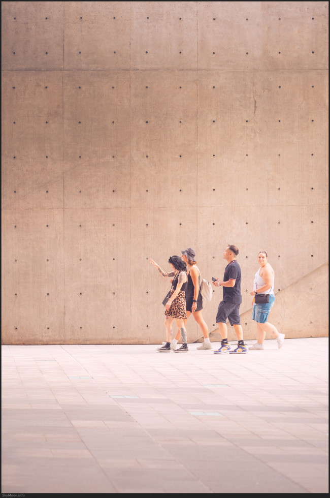 길 없는 길 (A pathless road) Photo-Image