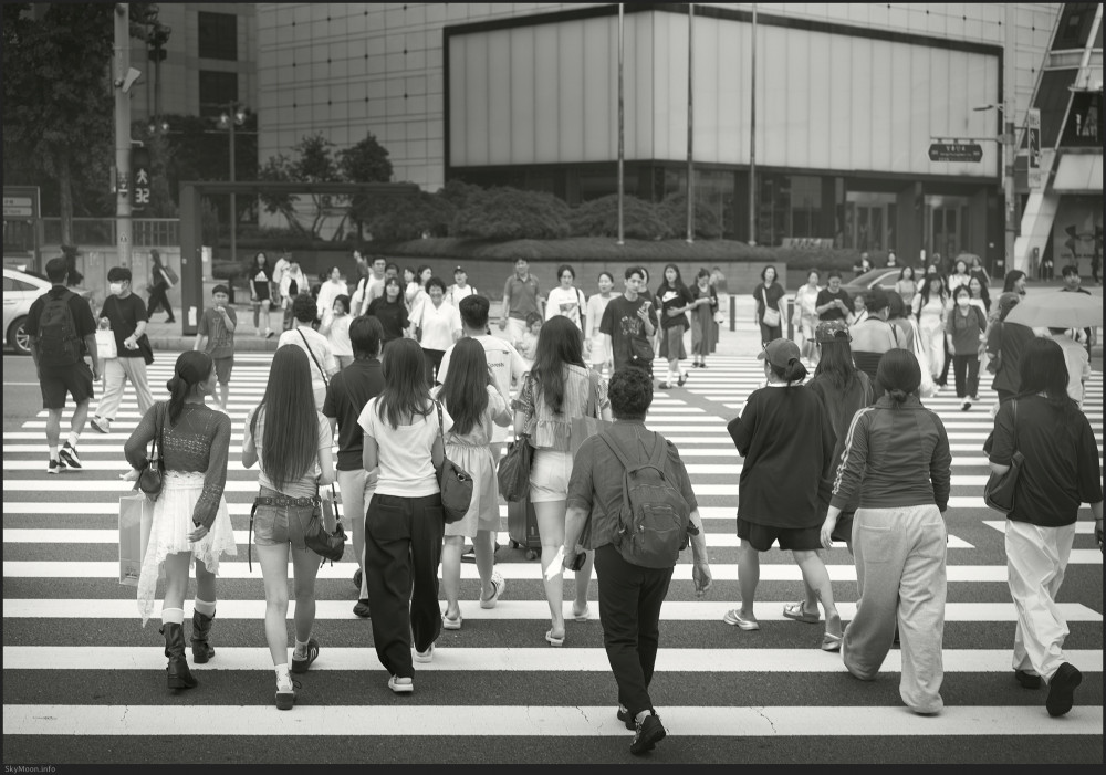 도시 풍경 (Urban scenery) 2025 Photo-Image