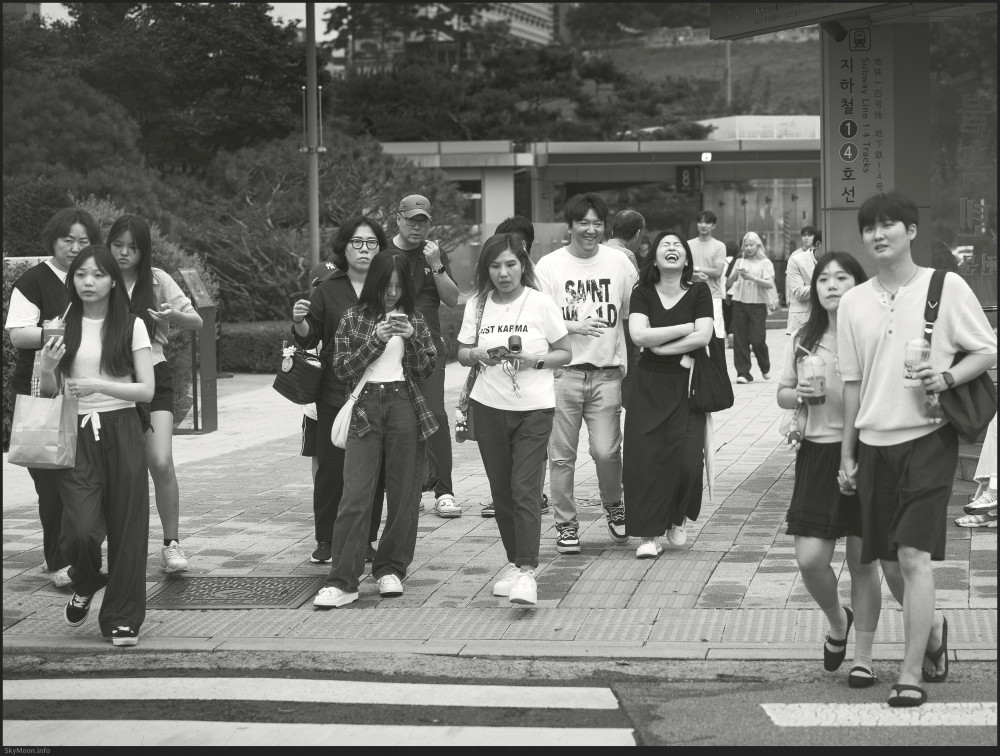 도시 풍경 (Urban scenery) 2025 Photo-Image