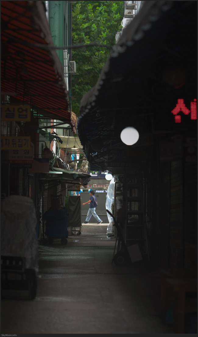 도시 풍경 (Urban scenery) 2025 Photo-Image