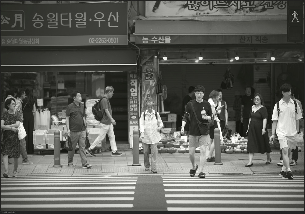 도시 풍경 (Urban scenery) 2025 Photo-Image