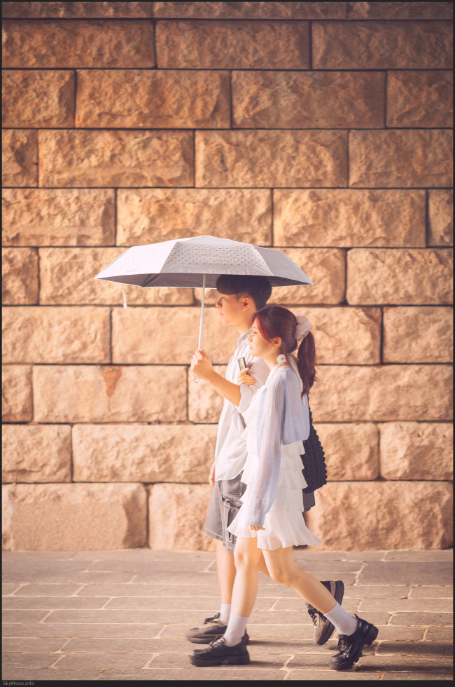 도시 풍경 (Urban scenery) 2025 Photo-Image