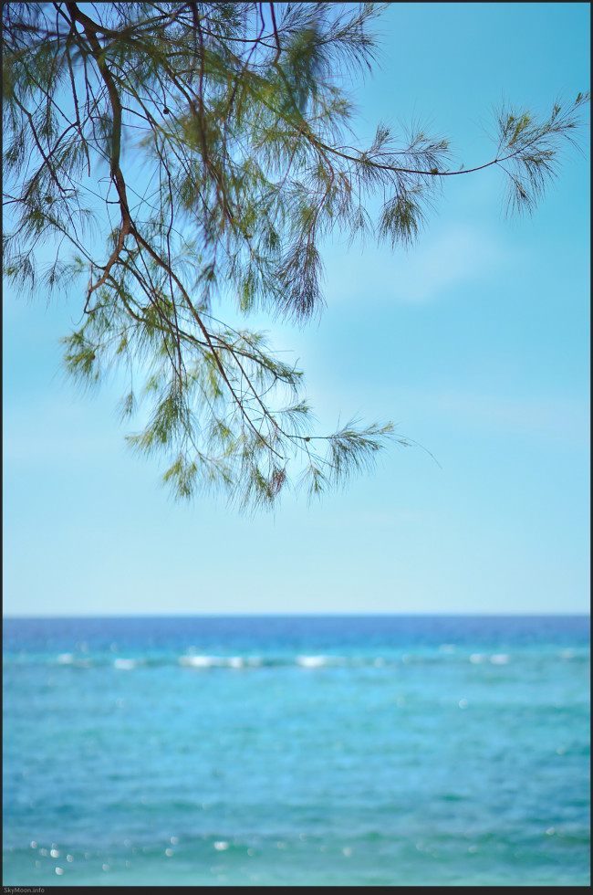 삶의 여행 (A journey of life)_길리 트라왕안 [MV] Photo-Image