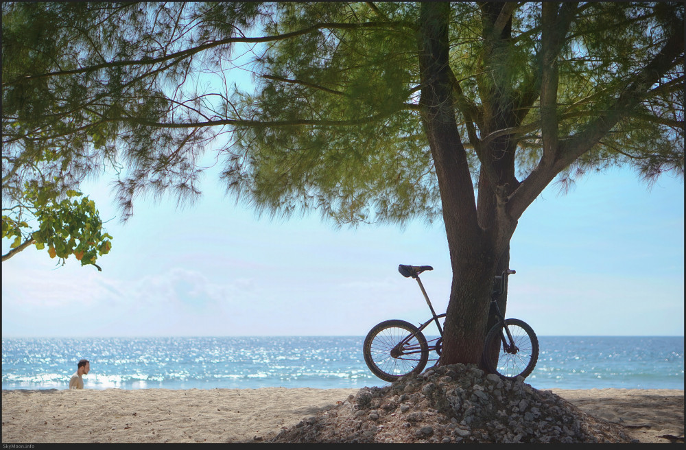 삶의 여행 (A journey of life)_길리 트라왕안 [MV] Photo-Image