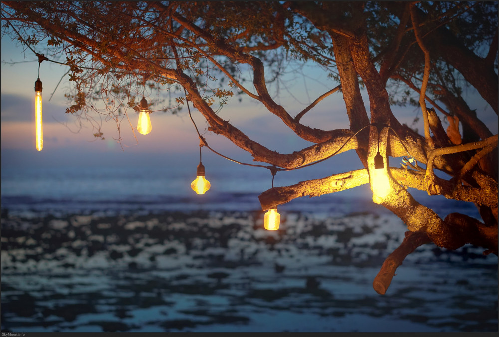 삶의 여행 (A journey of life)_길리 트라왕안 [MV] Photo-Image