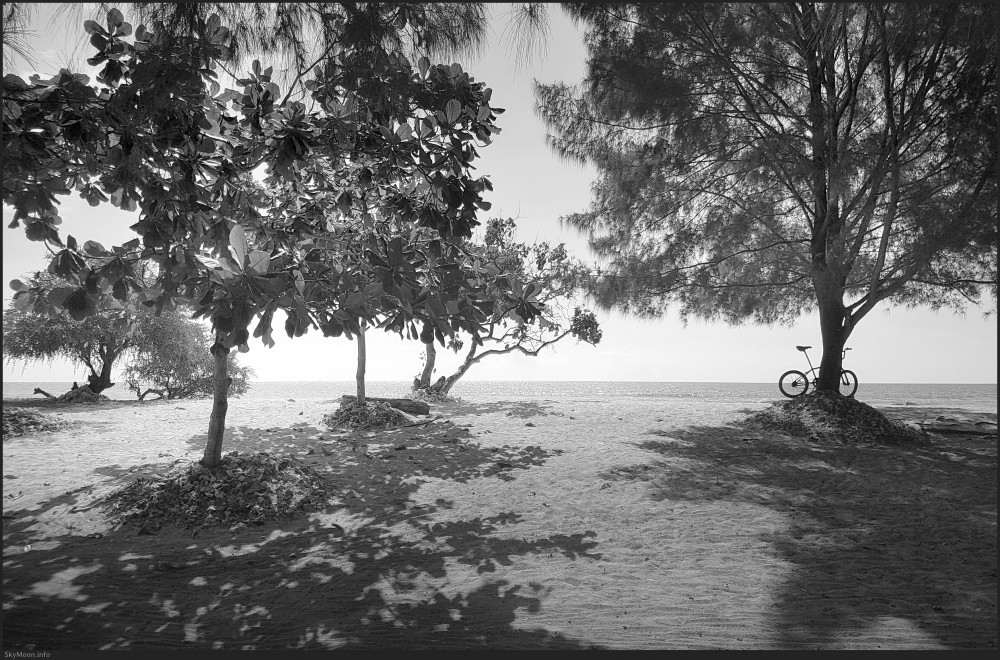 삶의 여행 (A journey of life)_길리 트라왕안 [MV] Photo-Image