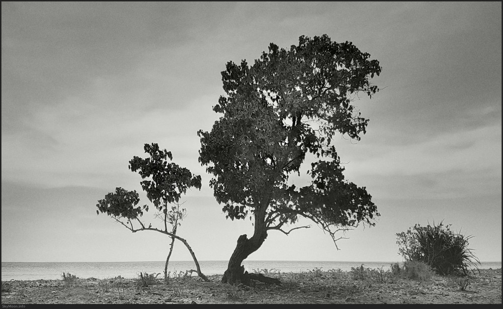 삶의 여행 (A journey of life)_길리 트라왕안 [MV] Photo-Image