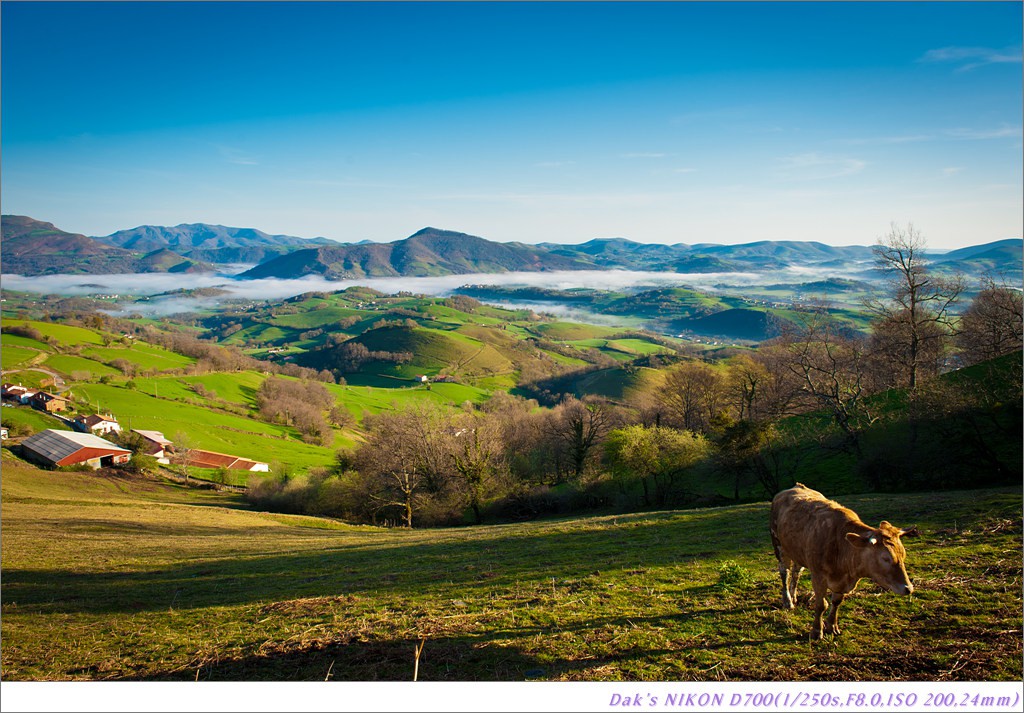 [여행기] 나를 찾아 떠나는 800KM 도보여행 (Camino de Santiago)-1_2 Photo-Image