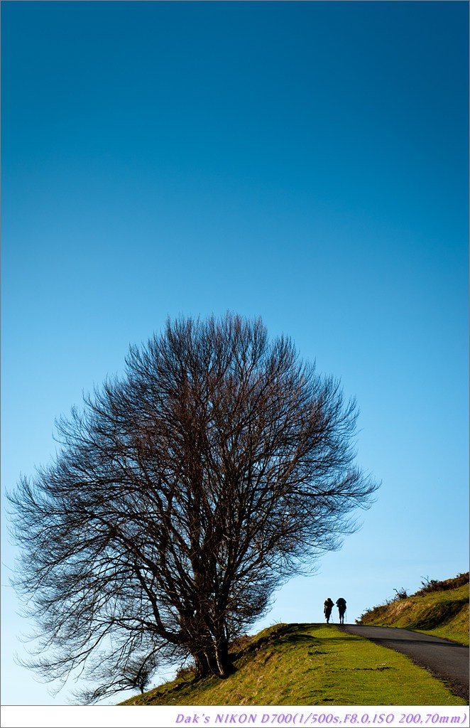 [여행기] 나를 찾아 떠나는 800KM 도보여행 (Camino de Santiago)-1_2 Photo-Image