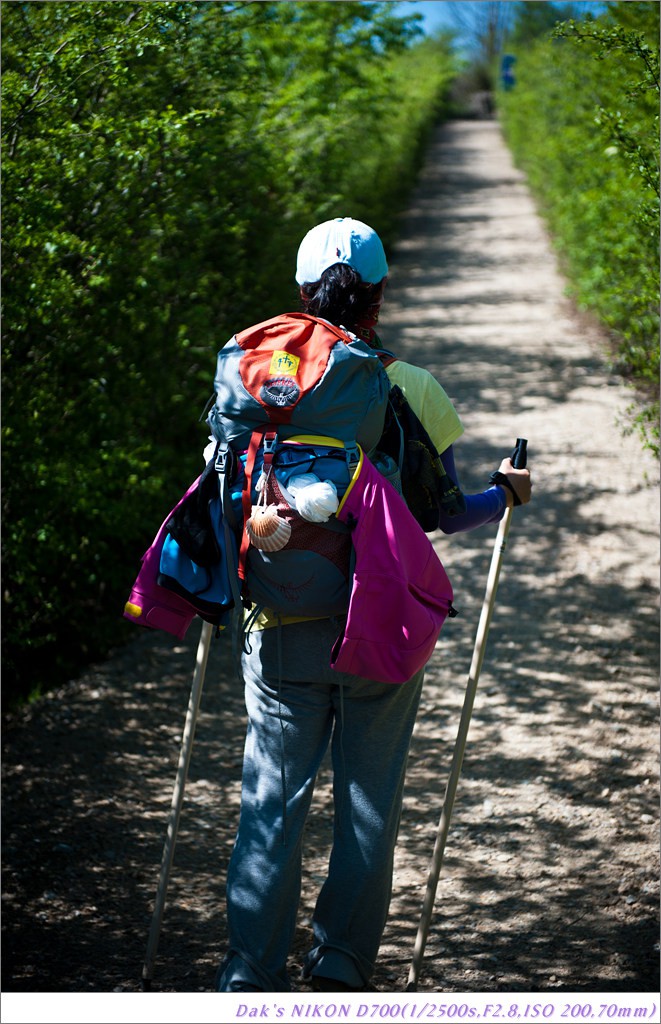 [여행기] 나를 찾아 떠나는 800KM 도보여행 (Camino de Santiago)-1_2 Photo-Image