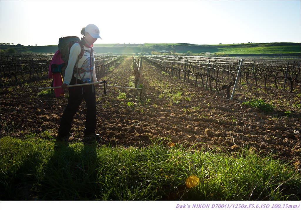 [여행기] 나를 찾아 떠나는 800KM 도보여행 (Camino de Santiago)-1_2 Photo-Image