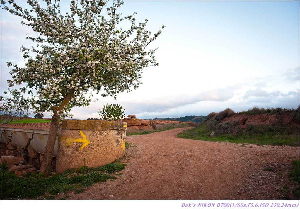 [여행기] 나를 찾아 떠나는 800KM 도보여행 (Camino de Santiago)-1_2 Photo-Image