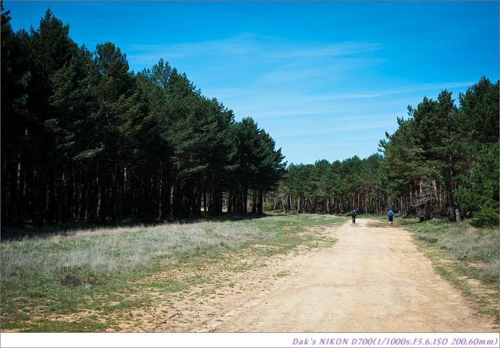 [여행기] 나를 찾아 떠나는 800KM 도보여행 (Camino de Santiago)-1_2 Photo-Image