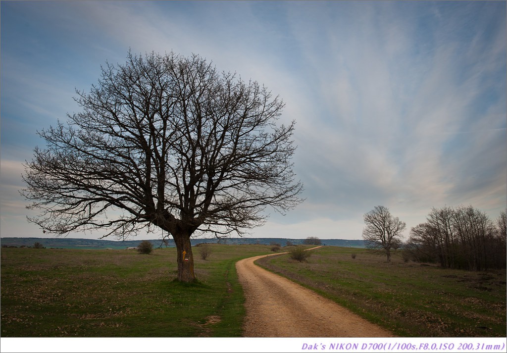 [여행기] 나를 찾아 떠나는 800KM 도보여행 (Camino de Santiago)-1_2 Photo-Image