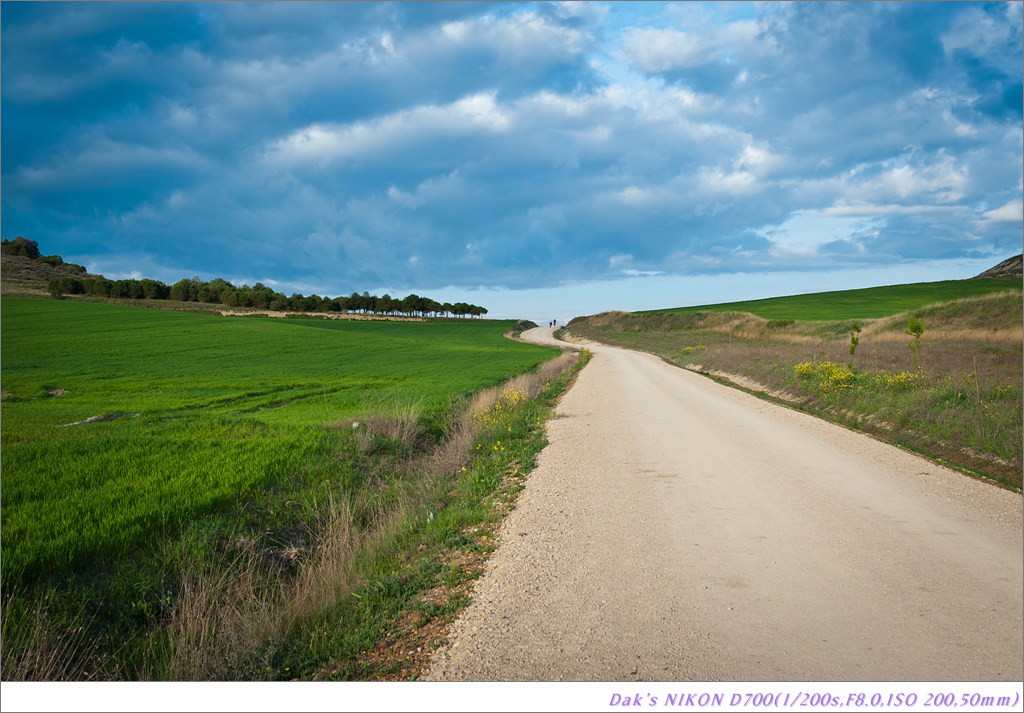 [여행기] 나를 찾아 떠나는 800KM 도보여행 (Camino de Santiago)-2_2 Photo-Image