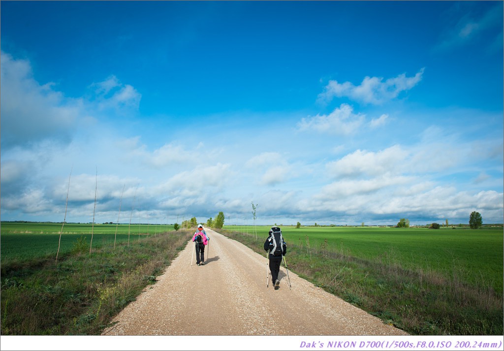 [여행기] 나를 찾아 떠나는 800KM 도보여행 (Camino de Santiago)-2_2 Photo-Image