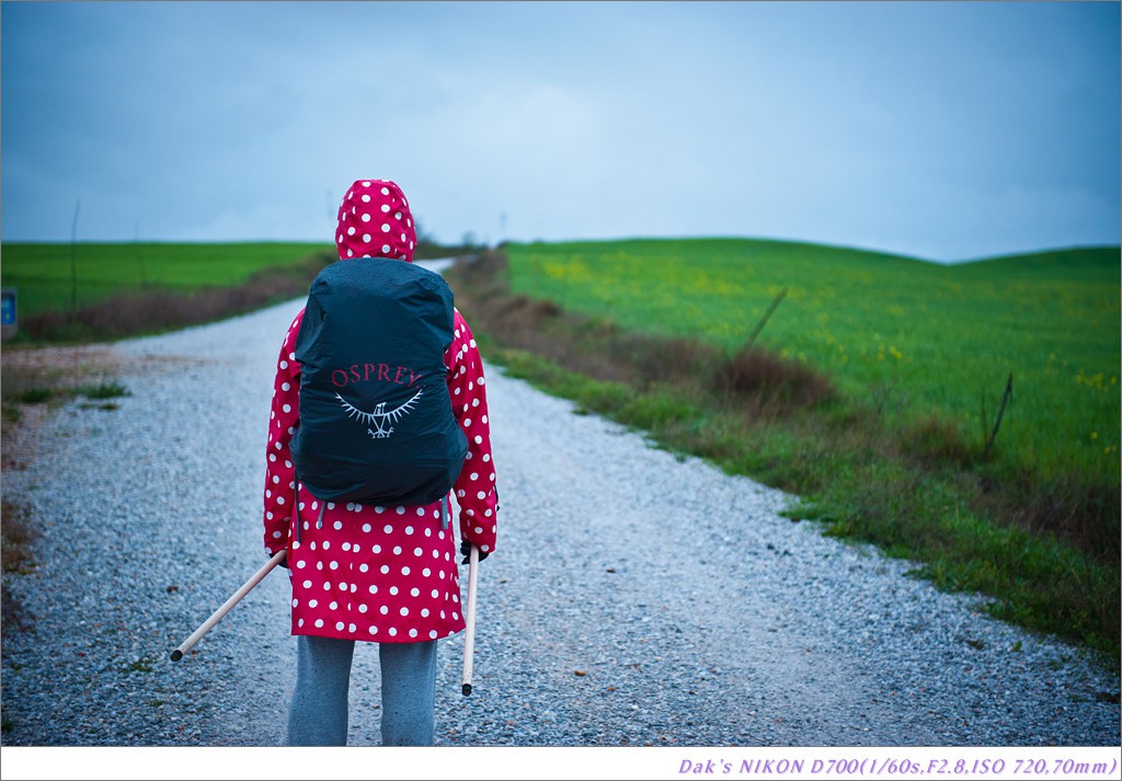 [여행기] 나를 찾아 떠나는 800KM 도보여행 (Camino de Santiago)-2_2 Photo-Image