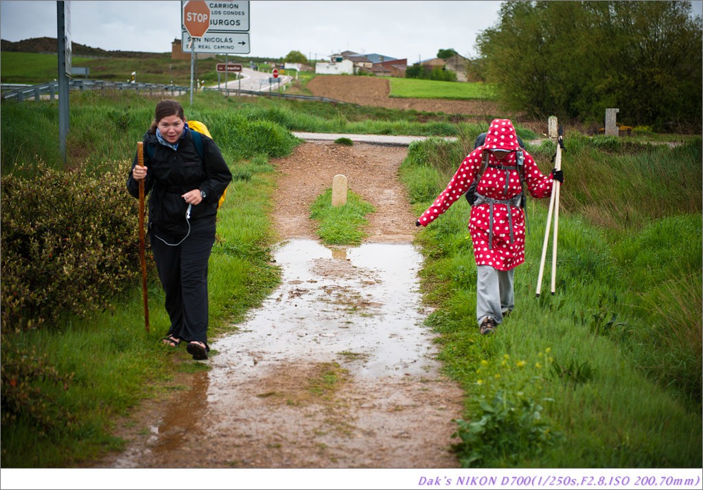 [여행기] 나를 찾아 떠나는 800KM 도보여행 (Camino de Santiago)-2_2 Photo-Image