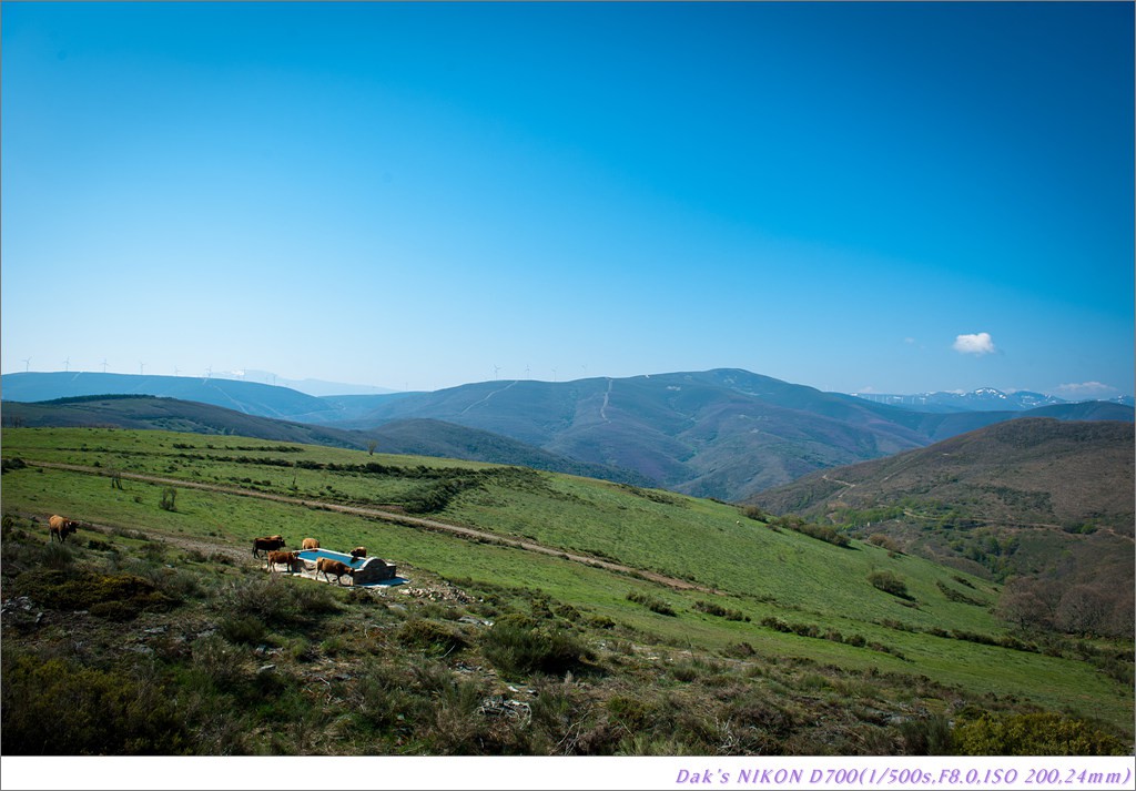 [여행기] 나를 찾아 떠나는 800KM 도보여행 (Camino de Santiago)-2_2 Photo-Image