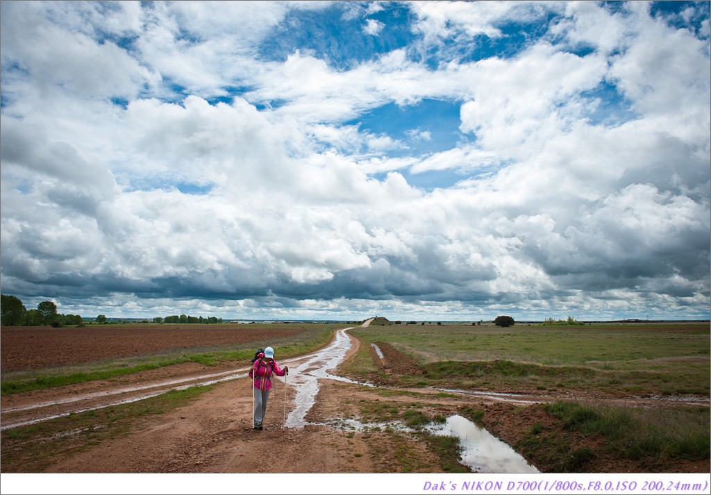 [여행기] 나를 찾아 떠나는 800KM 도보여행 (Camino de Santiago)-2_2 Photo-Image