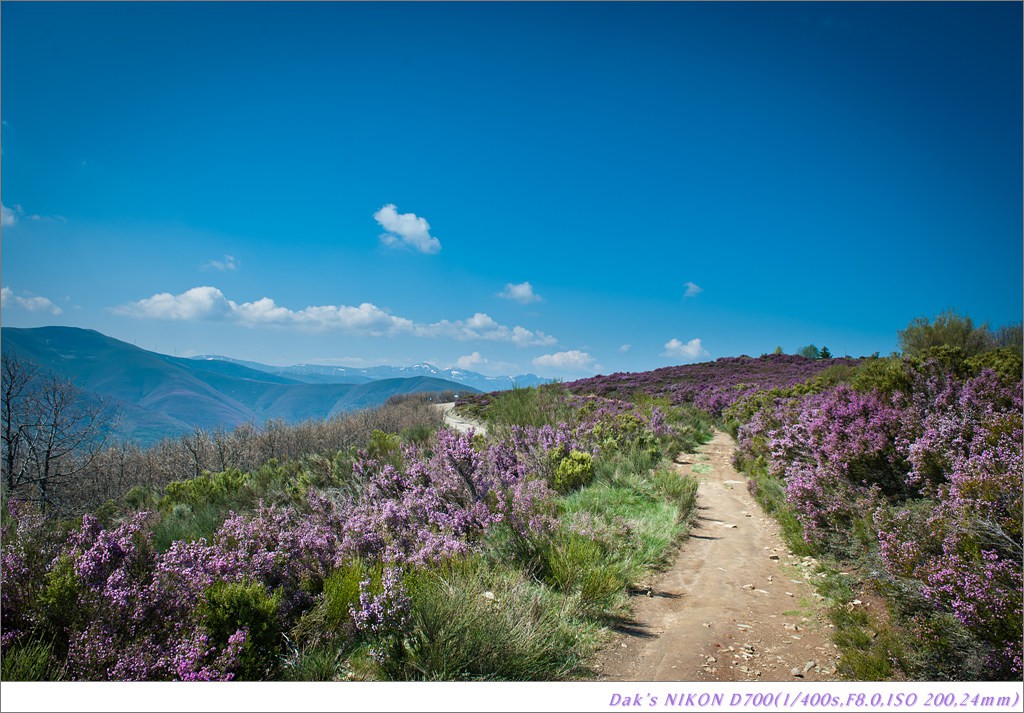 [여행기] 나를 찾아 떠나는 800KM 도보여행 (Camino de Santiago)-2_2 Photo-Image