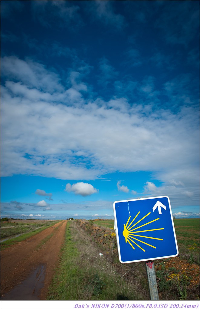 [여행기] 나를 찾아 떠나는 800KM 도보여행 (Camino de Santiago)-2_2 Photo-Image