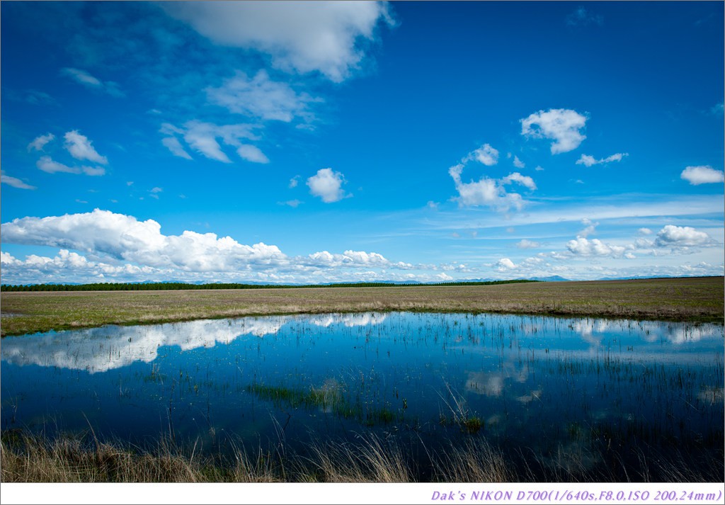 [여행기] 나를 찾아 떠나는 800KM 도보여행 (Camino de Santiago)-2_2 Photo-Image