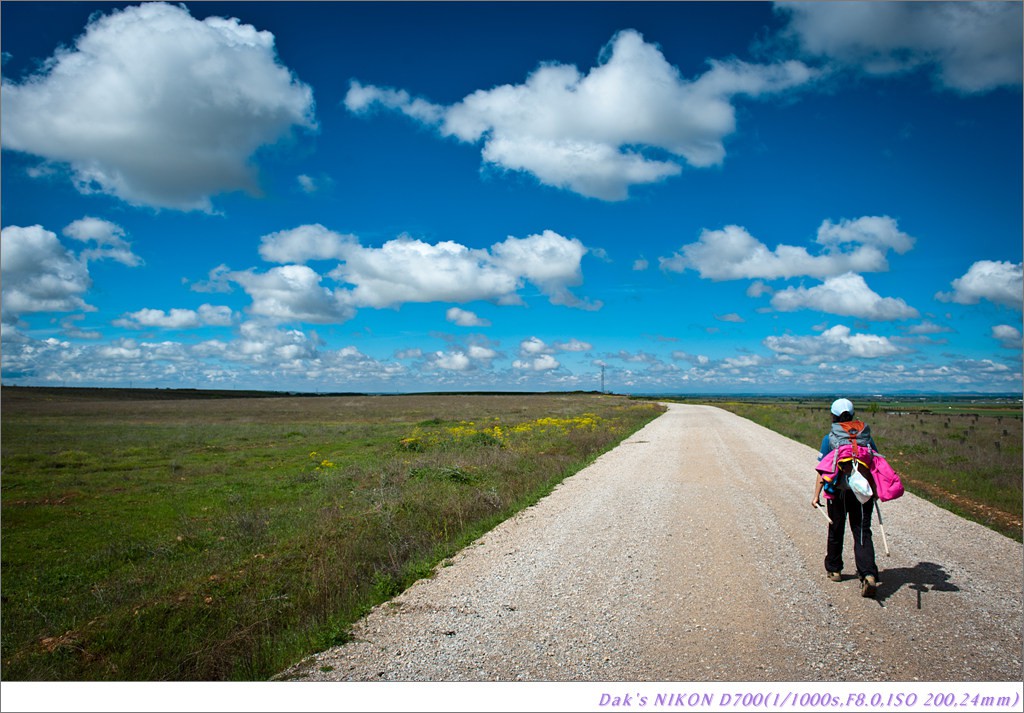 [여행기] 나를 찾아 떠나는 800KM 도보여행 (Camino de Santiago)-2_2 Photo-Image