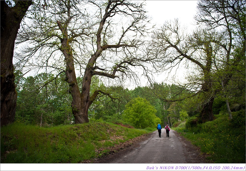 [여행기] 나를 찾아 떠나는 800KM 도보여행 (Camino de Santiago)-2_2 Photo-Image