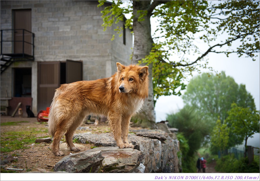 [여행기] 나를 찾아 떠나는 800KM 도보여행 (Camino de Santiago)-2_2 Photo-Image