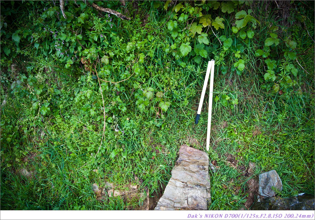 [여행기] 나를 찾아 떠나는 800KM 도보여행 (Camino de Santiago)-2_2 Photo-Image