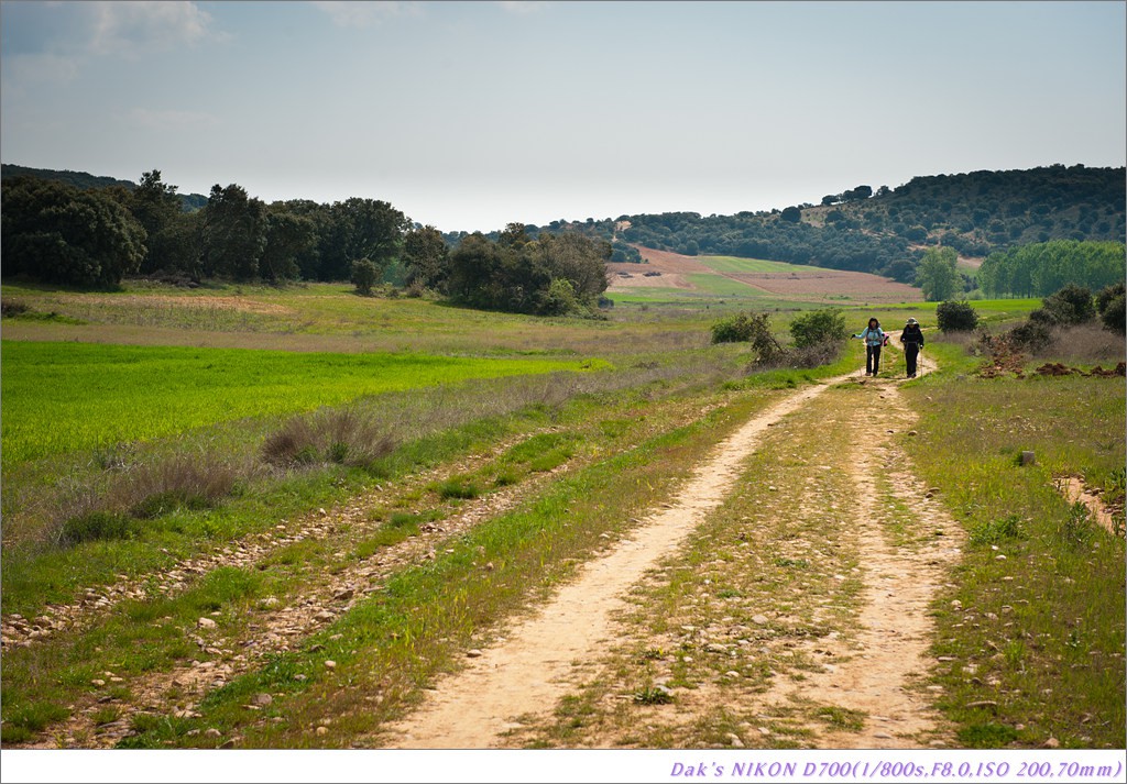 [여행기] 나를 찾아 떠나는 800KM 도보여행 (Camino de Santiago)-2_2 Photo-Image