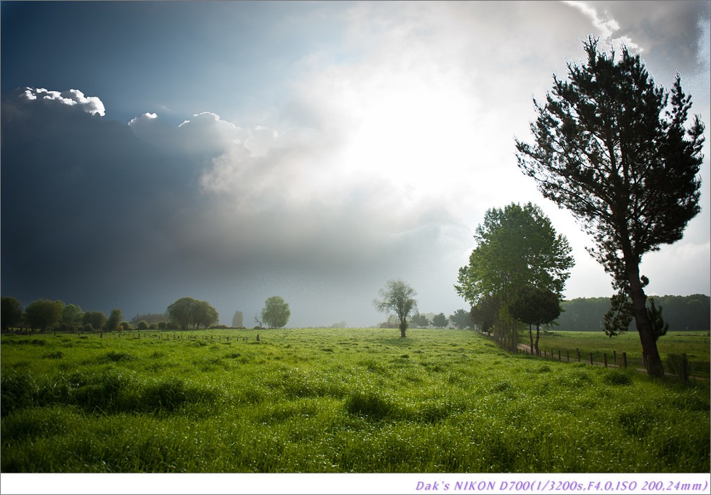 [여행기] 나를 찾아 떠나는 800KM 도보여행 (Camino de Santiago)-2_2 Photo-Image