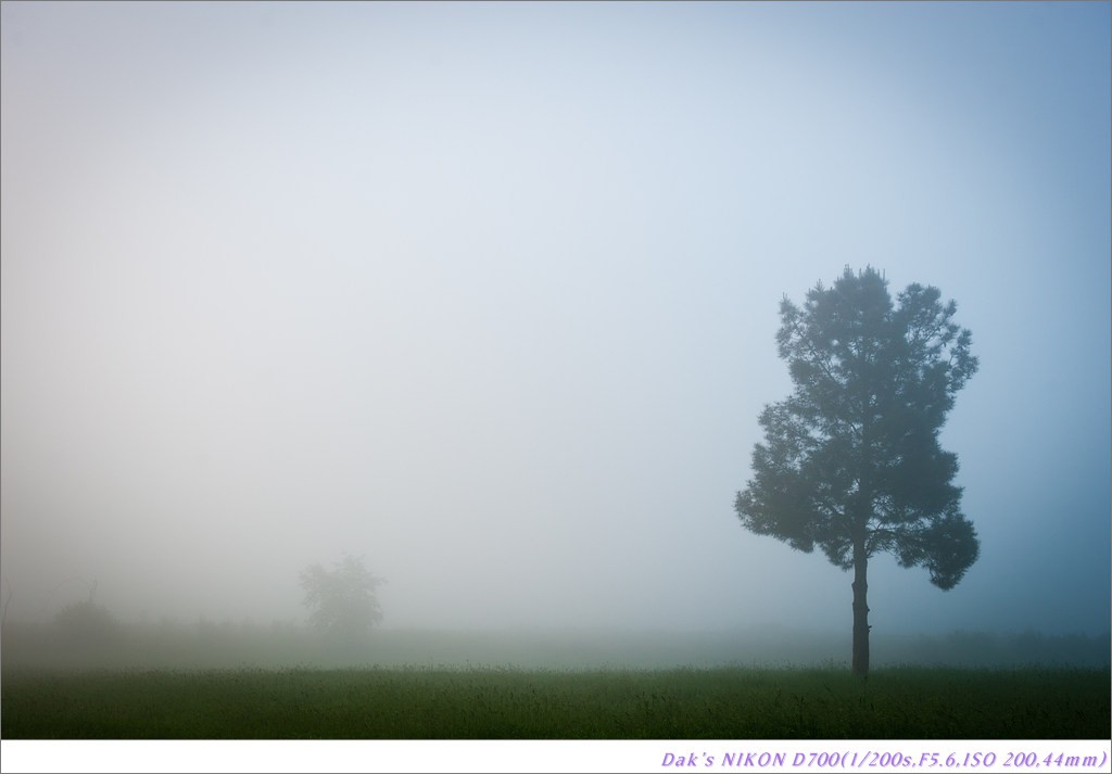 [여행기] 나를 찾아 떠나는 800KM 도보여행 (Camino de Santiago)-2_2 Photo-Image