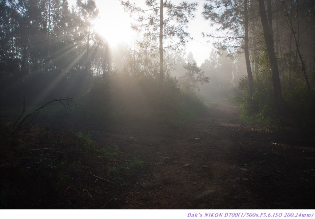 [여행기] 나를 찾아 떠나는 800KM 도보여행 (Camino de Santiago)-2_2 Photo-Image