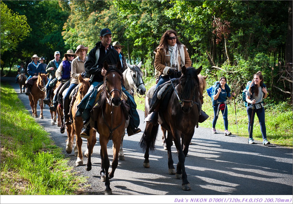 [여행기] 나를 찾아 떠나는 800KM 도보여행 (Camino de Santiago)-2_2 Photo-Image