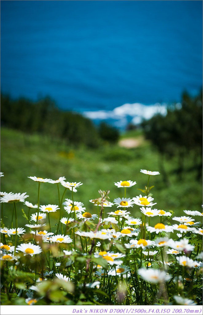 [여행기] 나를 찾아 떠나는 800KM 도보여행 (Camino de Santiago)-2_2 Photo-Image